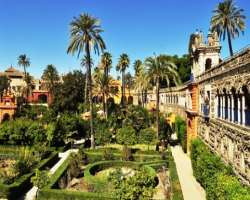 You can see and admire the beauty of nature while visiting the palace. The garden is full of fruit trees and several fragrant flowers. It was used to 
